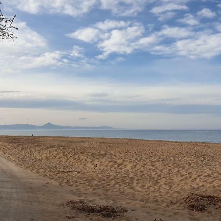 Assagador Del Palmar, 1 Dormitorio, Playa A 50M, By Bookindenia Kültér fotó